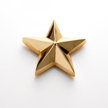 North Star  Symbol - Nima Oberoi Lunares