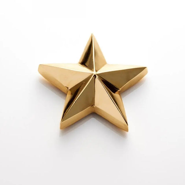 North Star Symbol - Nima Oberoi Lunares