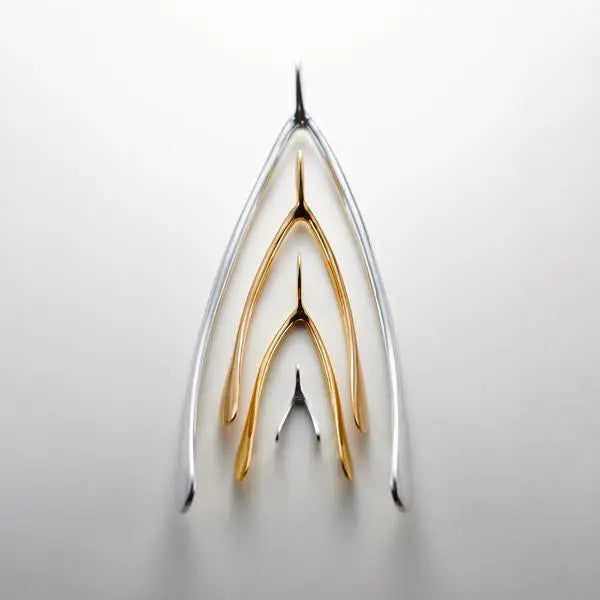 Wishbone Nut Dish Silver/Gold - Nima Oberoi Lunares