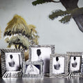 Collection of decorative photo frames with artistic background