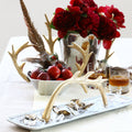 Staghorn Cakestand - Nima Oberoi Lunares 